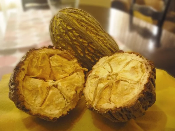 el macambo