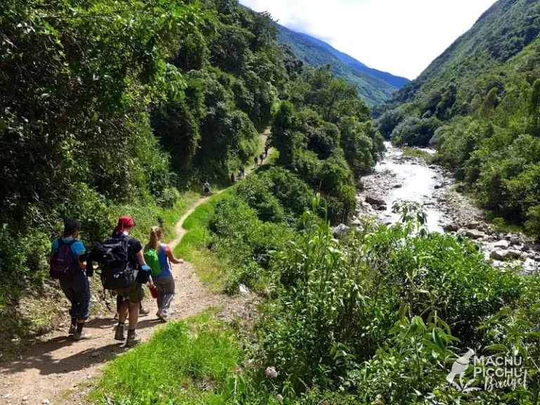 Salkantay Trek cloud forest jungle trail Peru Day 3