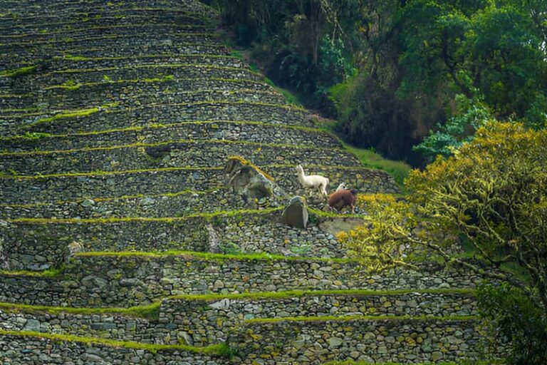 winay wayna ruins inca trail 4 days