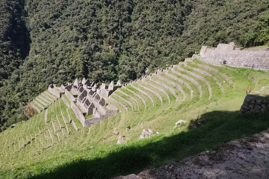 winay wayna inca trail